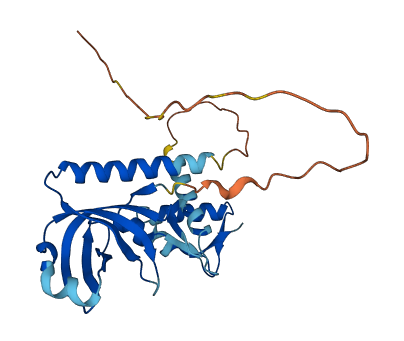 RPA4 3D structure