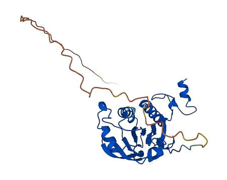 PRDX4 3D structure