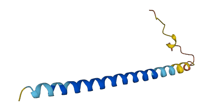 CATR1 3D structure
