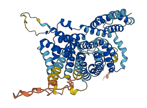 SLC13A2 3D structure