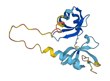 CBX3 3D structure