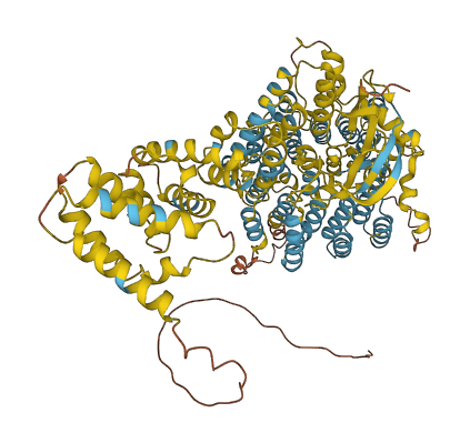 PSMD2 3D structure