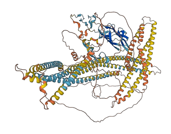MMRN1 3D structure