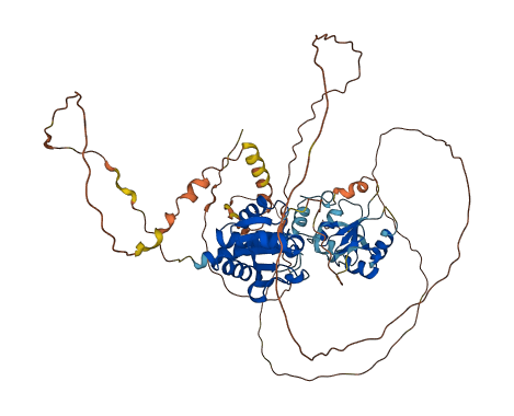 DUSP8 3D structure