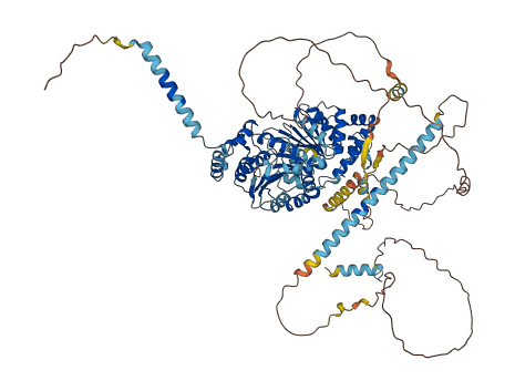 DDX10 3D structure