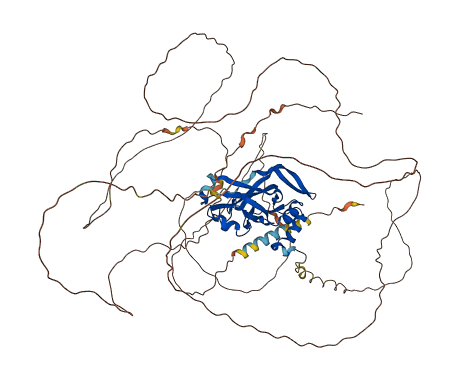 TBX2 3D structure