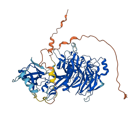 SEMA3B 3D structure
