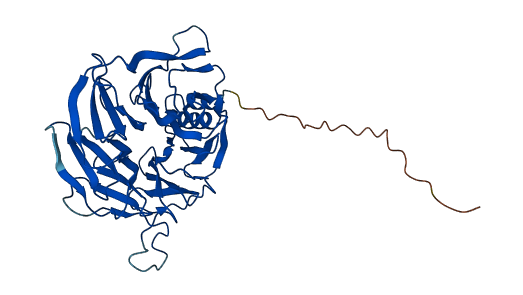 ERCC8 3D structure