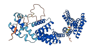 DNAJC3 3D structure