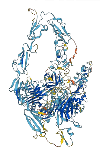 PAPPA 3D structure