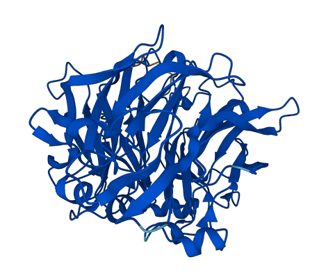SELENBP1 3D structure