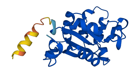 NME3 3D structure