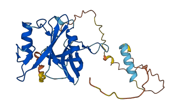 SLA 3D structure