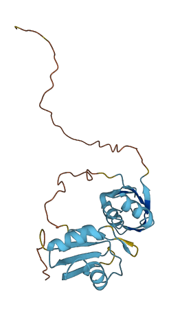 SRSF9 3D structure