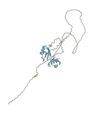 SRSF6 3D structure