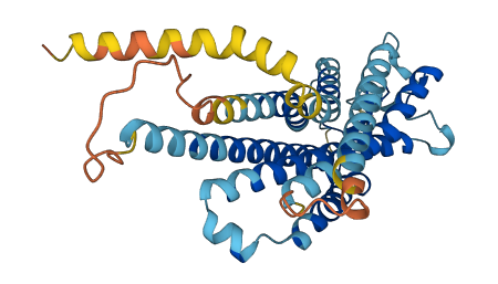 PTGDR 3D structure