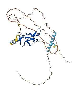 IL15RA 3D structure