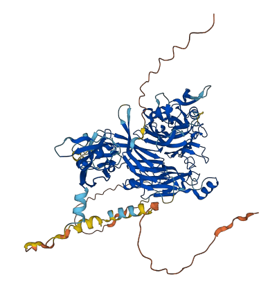 SEMA3F 3D structure