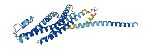 STX3 3D structure