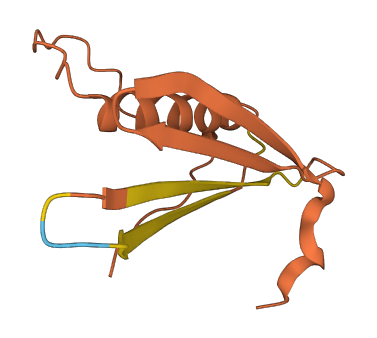 RIG 3D structure