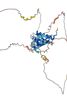 G3BP1 3D structure