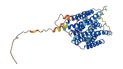 CLN3 3D structure