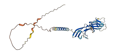 SLAMF1 3D structure