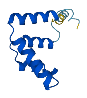 SCGB2A2 3D structure