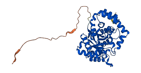 KCNAB2 3D structure