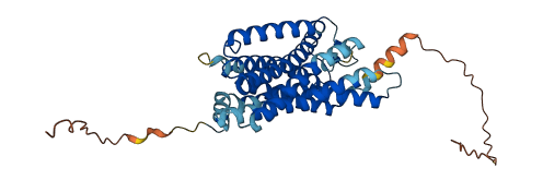 GPR17 3D structure
