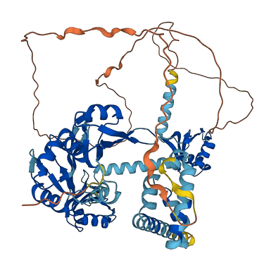 PABPC4 3D structure