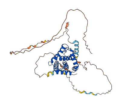 CDK5R2 3D structure