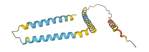 BIK 3D structure