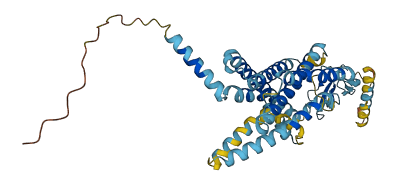 CRHR2 3D structure