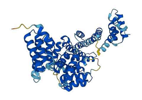 IFIT5 3D structure