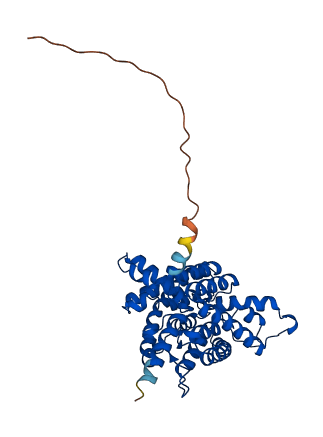 SLC14A1 3D structure