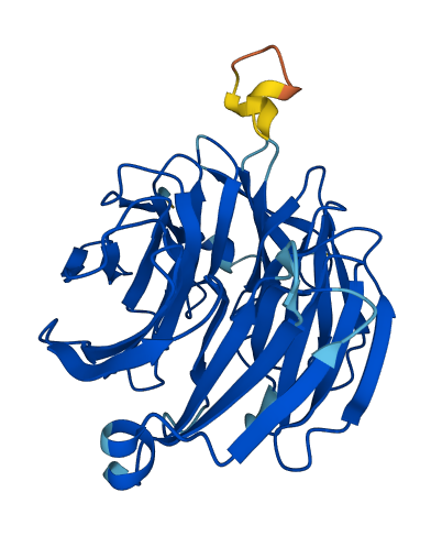 EIF3I 3D structure