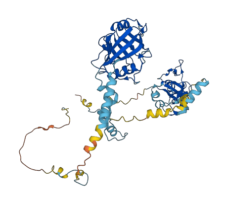 PPIL2 3D structure