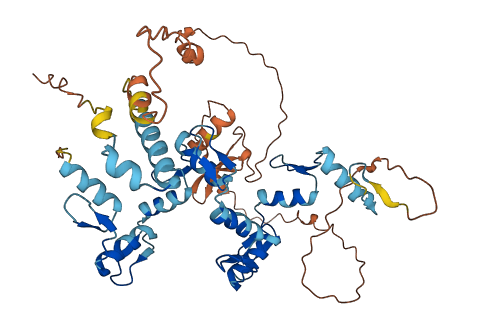 ZNF177 3D structure
