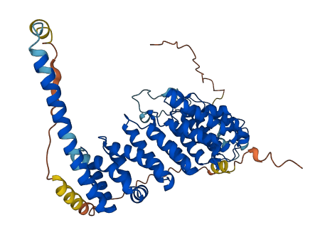PPP2R5C 3D structure