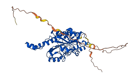 CTBP1 3D structure