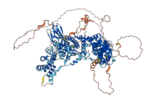AP3B2 3D structure