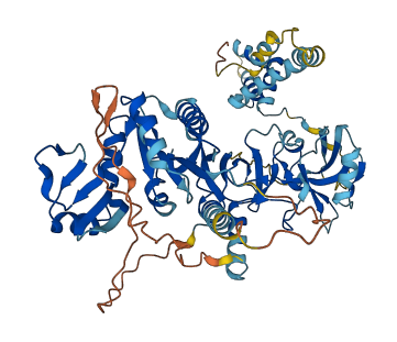 MPP3 3D structure