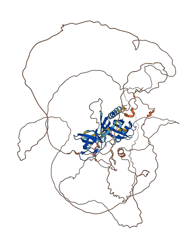 MAPK8IP2 3D structure