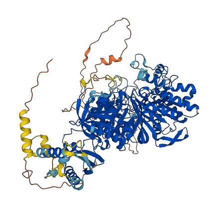 PLD1 3D structure