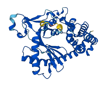 MAB21L1 3D structure