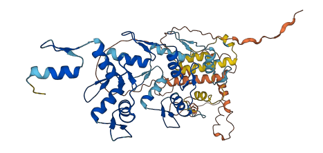 ZNF211 3D structure