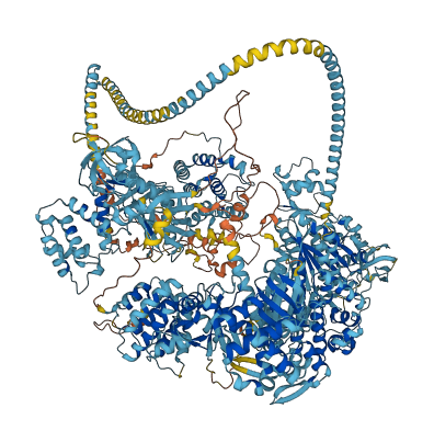 MYO7A 3D structure