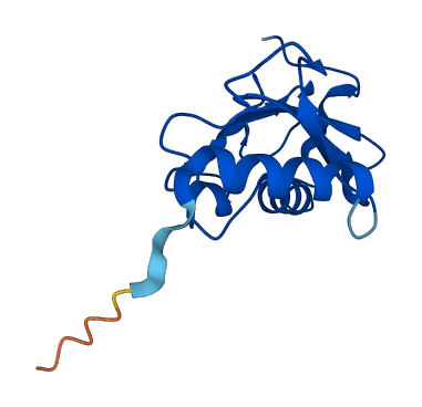 UBE2V1 3D structure