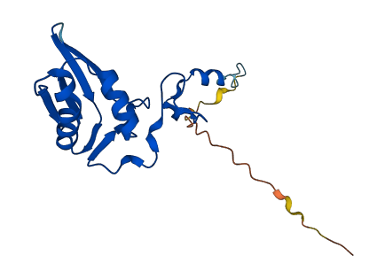 MRPL49 3D structure